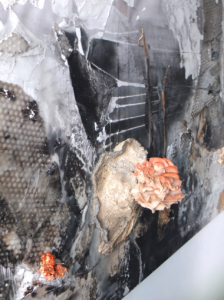 Someday we´ll be eaten by our food, 2020