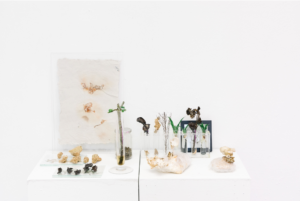 Someday we´ll be eaten by our food, 2020, Photo by Ana Rodriguez