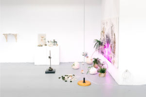 Someday we´ll be eaten by our food, 2020, Photo by Ana Rodriguez