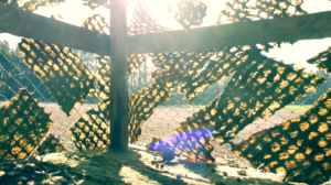 Filmstill CABEENET, 2021