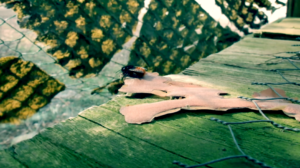 Filmstill CABEENET, 2021