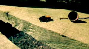 Filmstill CABEENET, 2021