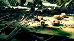 Filmstill CABEENET, 2021