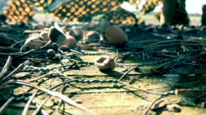 Filmstill CABEENET, 2021