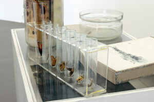 Zersetzung, 2020, Artists as Independent Publishers Weserburg Bremen